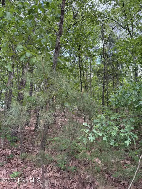 148 Otter Dr, Seven Lakes, NC 27376