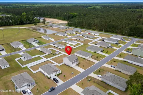 View/Area - 205 Seasons Trace Loop, Longs, SC 29568 photo 4 of 7