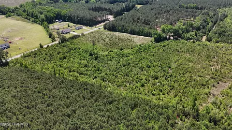 0 Indian Hill Rd, Willard, NC 28478 photo 6