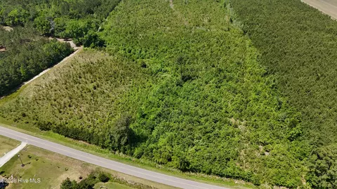 0 Indian Hill Rd, Willard, NC 28478 photo 8