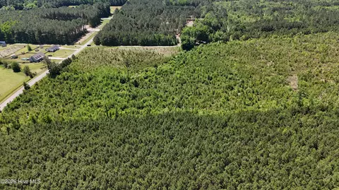 0 Indian Hill Rd, Willard, NC 28478 photo 7