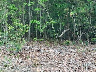 125 Mockingbird Ln, Hollister, NC 27844