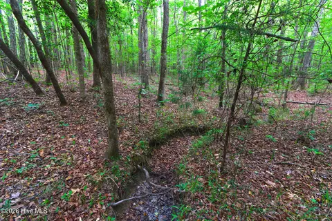 000 Macon-embro Rd, Macon, NC 27551 photo 10