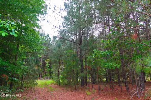 000 Macon-embro Rd, Macon, NC 27551 photo 16