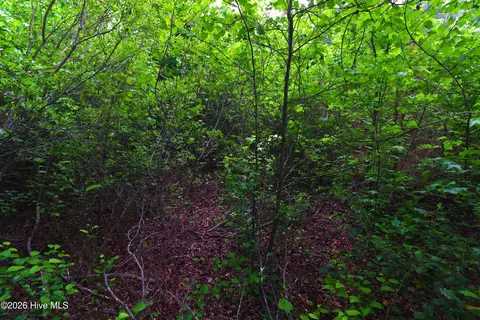 000 Macon-embro Rd, Macon, NC 27551 photo 18