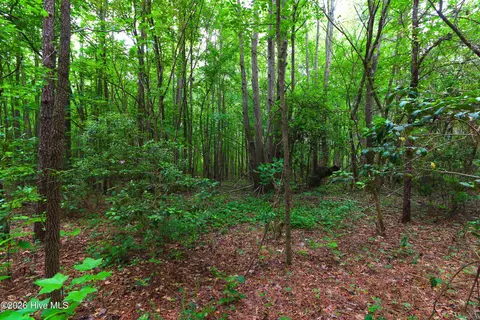 000 Macon-embro Rd, Macon, NC 27551 photo 6