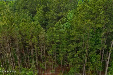 000 Macon-embro Rd, Macon, NC 27551 photo 19