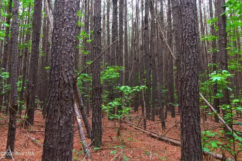 000 Macon-embro Rd, Macon, NC 27551 photo 8
