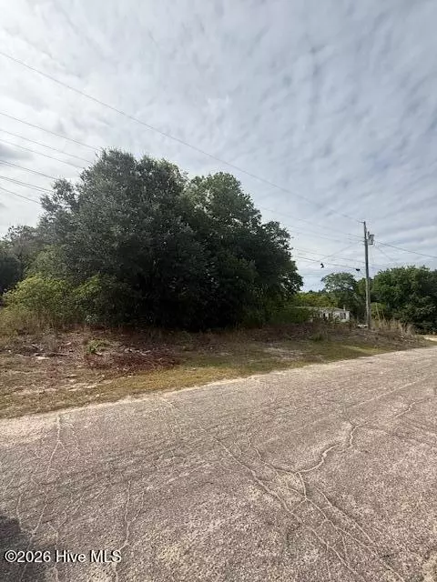 102 Rose St, Hamlet, NC 28345 photo 2