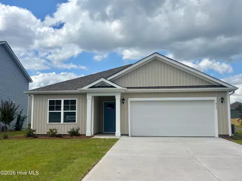 1033 Pampas Grass Dr #LOT 317, Castle Hayne, NC 28429