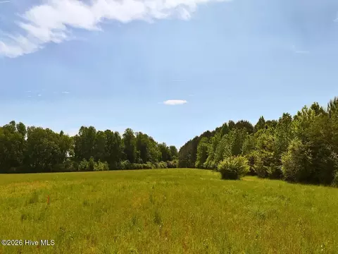 0 Old Chinquapin Rd, Beulaville, NC 28518