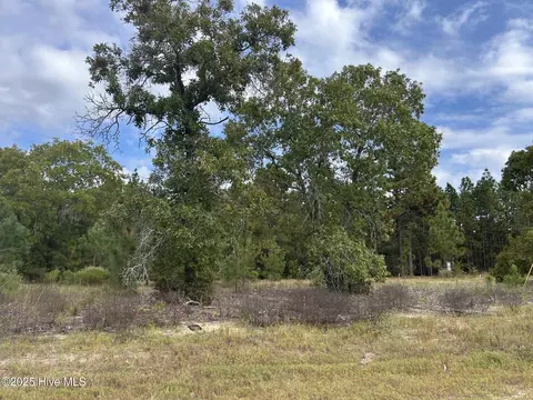 35 Gum Swamp Lake Rd, Marston, NC 28363
