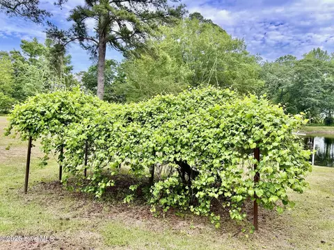 Other - 397 Johns Rd, Maxton, NC 28364 photo 9 of 13