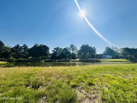 136 Sugar Maple Ct, Wallace, NC 28466 photo 4