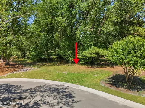 136 Sugar Maple Ct, Wallace, NC 28466 photo 8