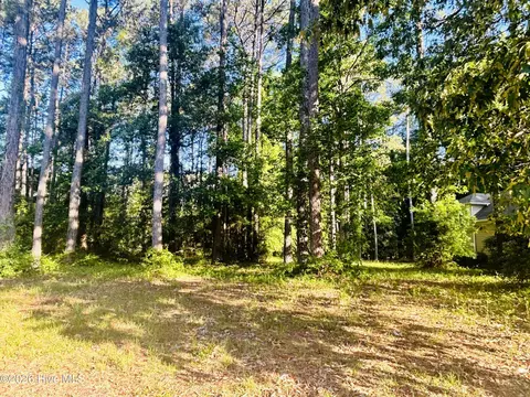 116 Magnolia Bay Ln, Wallace, NC 28466