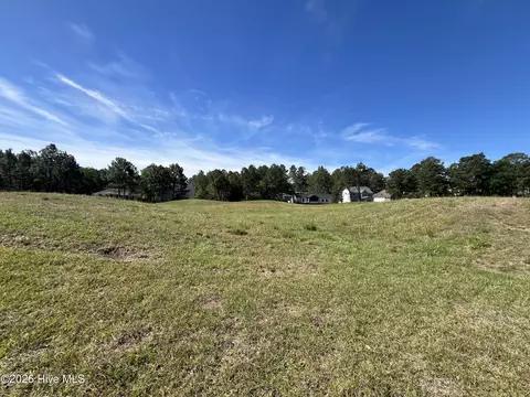 Other - 568 Bald Eagle Dr, Vass, NC 28394 photo 6 of 6