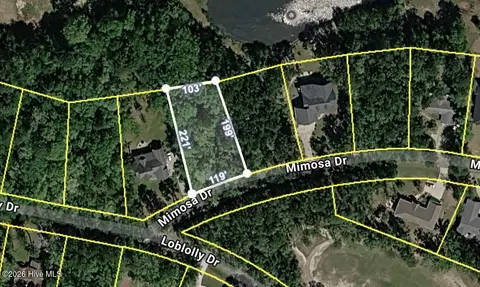 707 Mimosa Dr, Vass, NC 28394