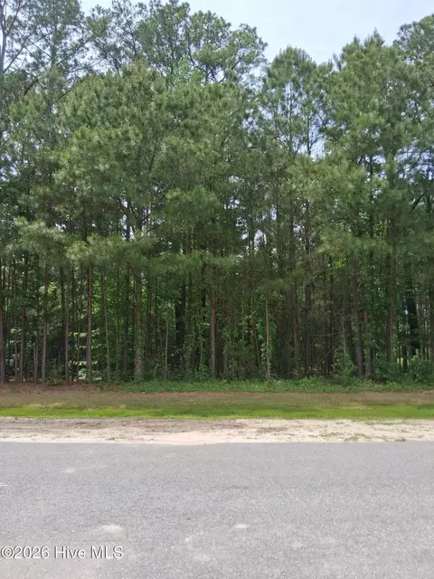 17 Scuppernong River Dr, Hertford, NC 27944