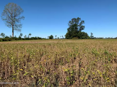 tbd Hendrix Ln, Windsor, NC 27983 photo 3
