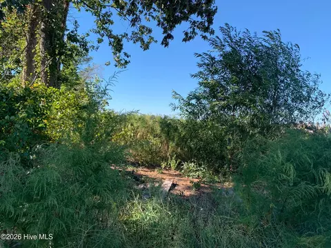 tbd Hendrix Ln, Windsor, NC 27983