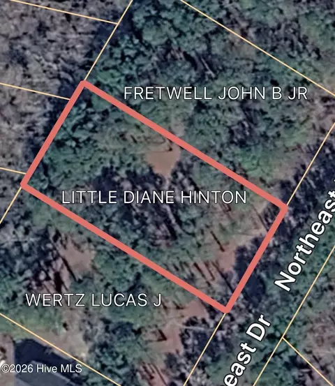 0 Northeast Dr, Burgaw, NC 28425