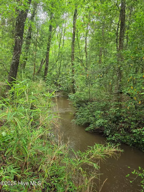 Other - 480 Mount Pleasant Rd, Monetta, SC 29105 photo 7 of 11
