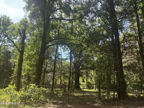 lot4 Saggus Rd, Washington, GA 30673