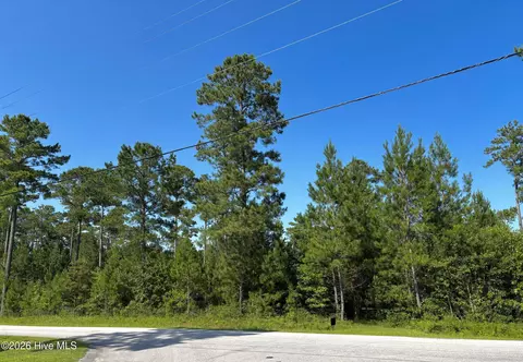 00 Lee Rogers Rd, Hubert, NC 28539 photo 3