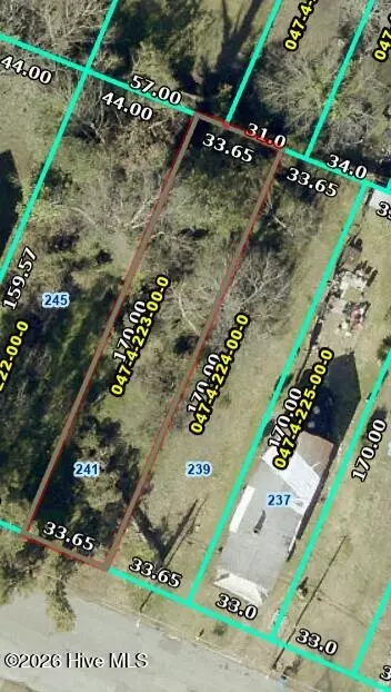 241 Walker St, Augusta, GA 30901 photo 4