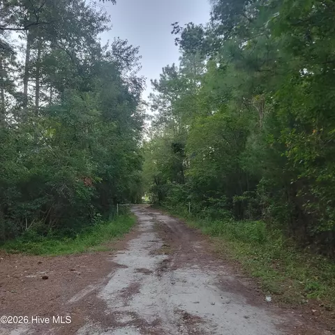 6816 Nc Hwy 53 E, Burgaw, NC 28425