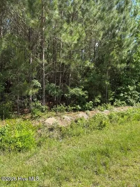 0 Beattys Bridge Rd, Atkinson, NC 28421 photo 3
