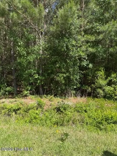 0 Beattys Bridge Rd, Atkinson, NC 28421 photo 2