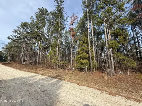 165 Wayne Ln, Hephzibah, GA 30815