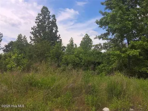195 Wilders Ln, Louisburg, NC 27549