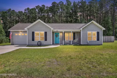 102 Blossom Ct, Maple Hill, NC 28454
