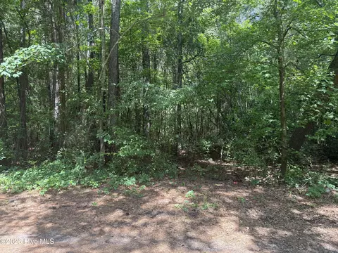 0 Herring Loop Rd, Wallace, NC 28466