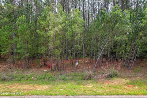 1054 Longleaf Way, Lincolnton, GA 30817