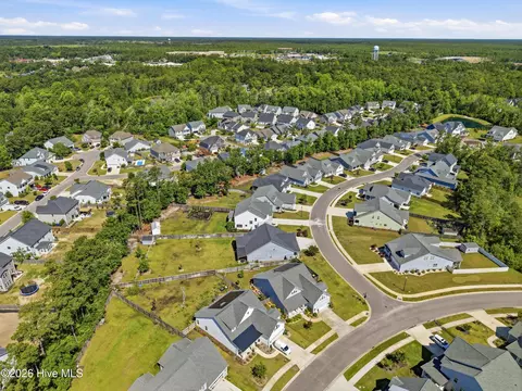 View/Area - 35 Bowman Field Cir, Hampstead, NC 28443 photo 4 of 6