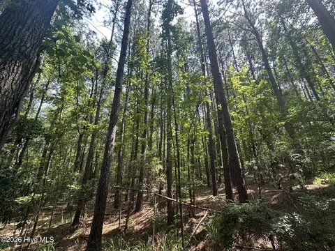 lot E Ridge Rd, Appling, GA 30802 photo 14