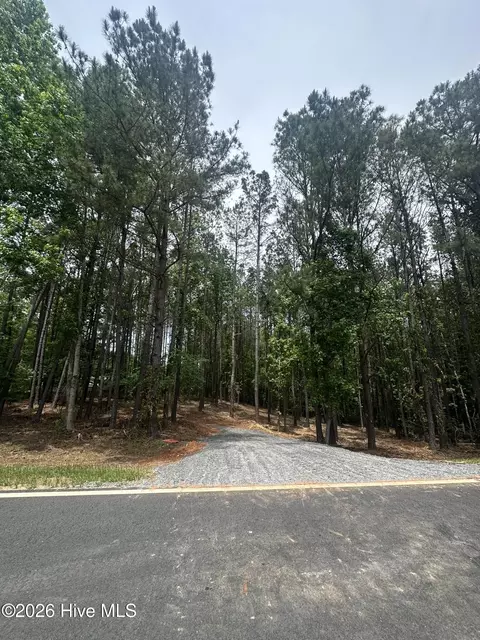 lot E Ridge Rd, Appling, GA 30802 photo 4