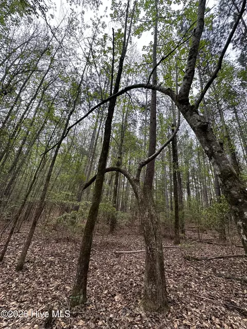 lot E Ridge Rd, Appling, GA 30802 photo 15