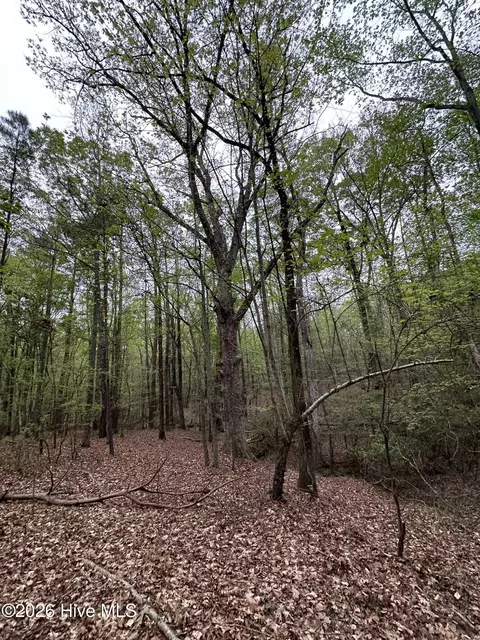 lot E Ridge Rd, Appling, GA 30802 photo 18