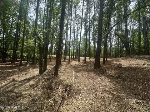 lot E Ridge Rd, Appling, GA 30802 photo 9
