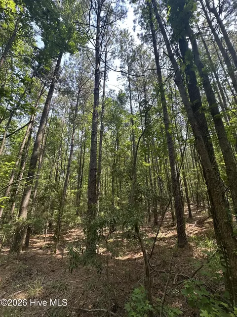 lot E Ridge Rd, Appling, GA 30802 photo 13