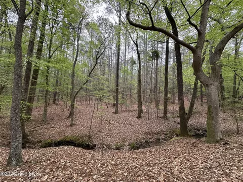 lot E Ridge Rd, Appling, GA 30802 photo 21