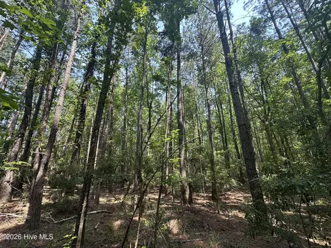 lot E Ridge Rd, Appling, GA 30802 photo 12