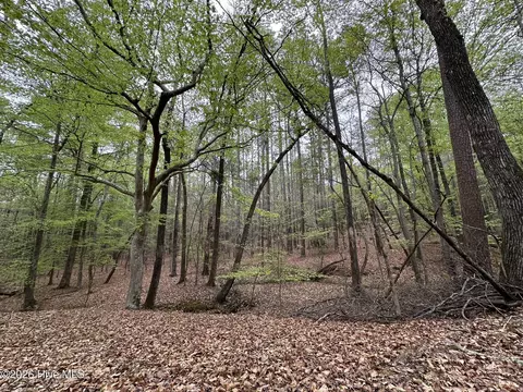 lot E Ridge Rd, Appling, GA 30802 photo 20