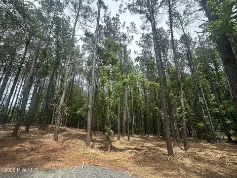 lot E Ridge Rd, Appling, GA 30802 photo 5