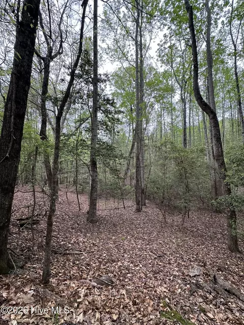 lot E Ridge Rd, Appling, GA 30802 photo 17